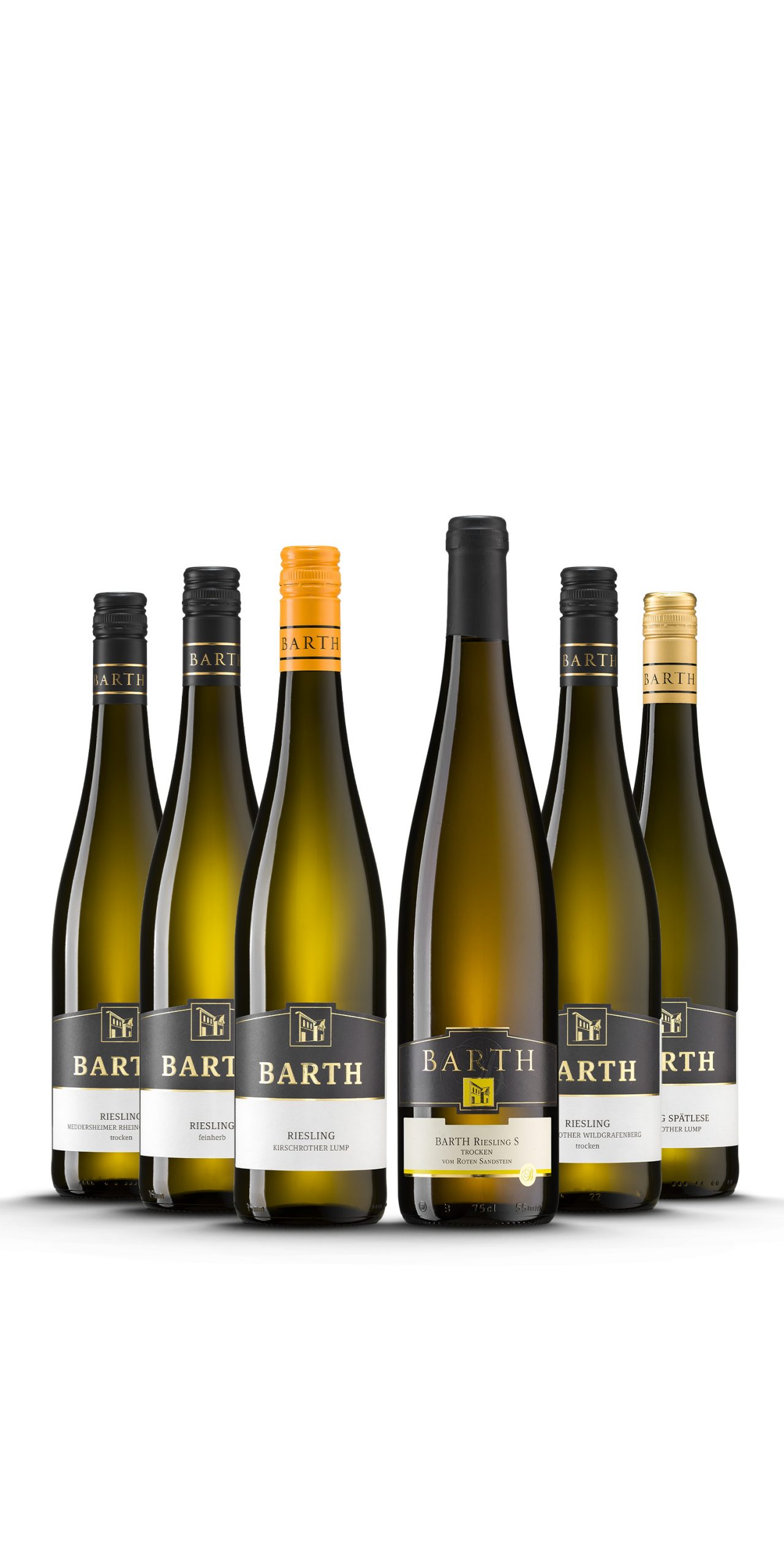<br>R26-XL - RIESLINGpaket 2026<br>Sortiment je 2 Flaschen Nr. 10-24,11-24,151-22,20-24,32-25,36-25<br>